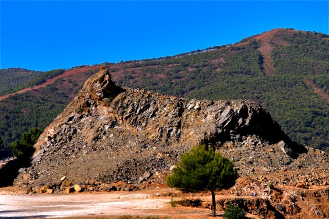 DPP_1040 copy.jpg
